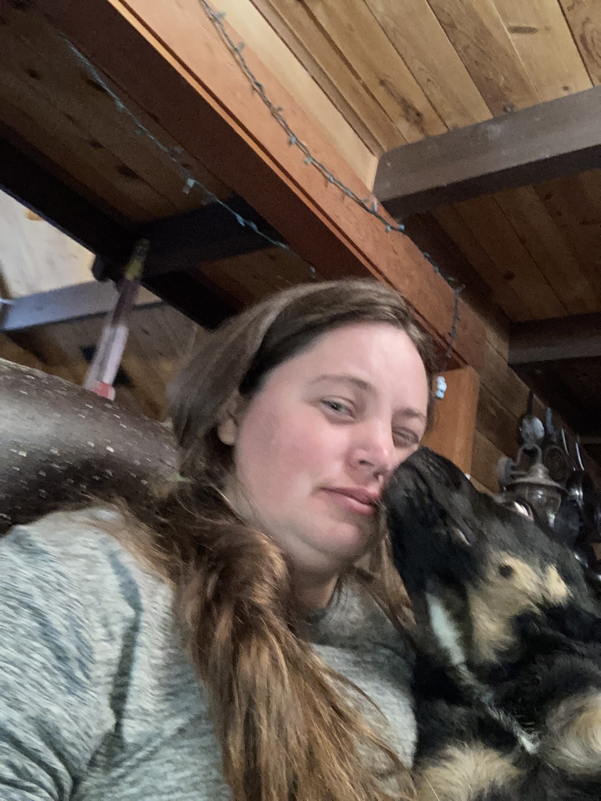 Board Members Jemez Valley Animal Amigos